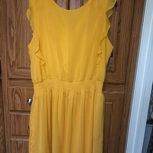 Below the knee length